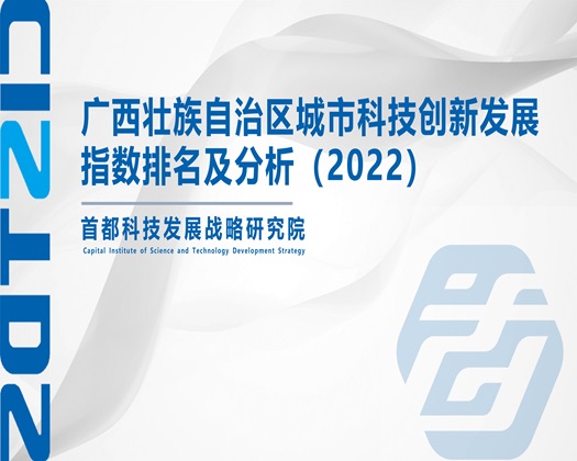 大奶子想日下面了啊啊啊啊【成果发布】广西壮族自治区城市科技创新发展指数排名及分析（2022）